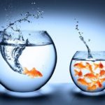 失敗したくない方必見!社労士で独立開業するまでの5ステップをマジメに語るよ